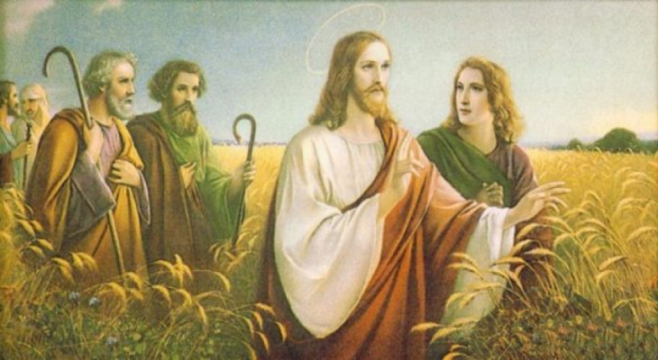 Ogłoszenia parafialne - XVI Niedziela Zwykła